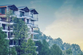 LivingStone Jungle Hill Treat Kasauli